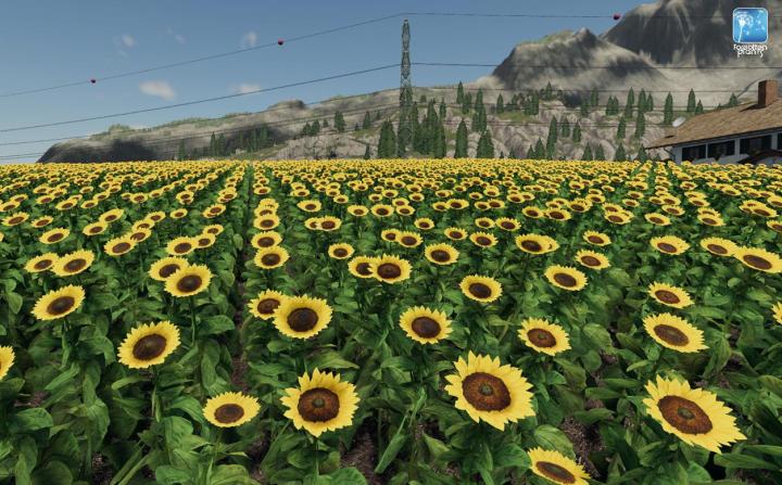 FS19 - Forgotten Plants - Sunflower/canola V1