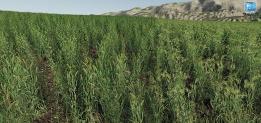 Photo of FS19 – Forgotten Plants – Wheat / Barley V1