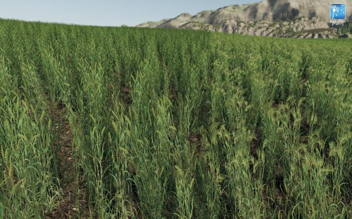 FS19 - Forgotten Plants - Wheat / Barley V1