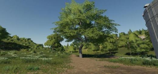 Photo of FS19 – Placeable Maple V1