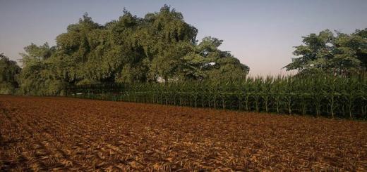 Photo of FS19 – Corn And Soybean Textures V1