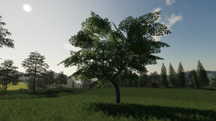 FS19 - Placeable Trees V1