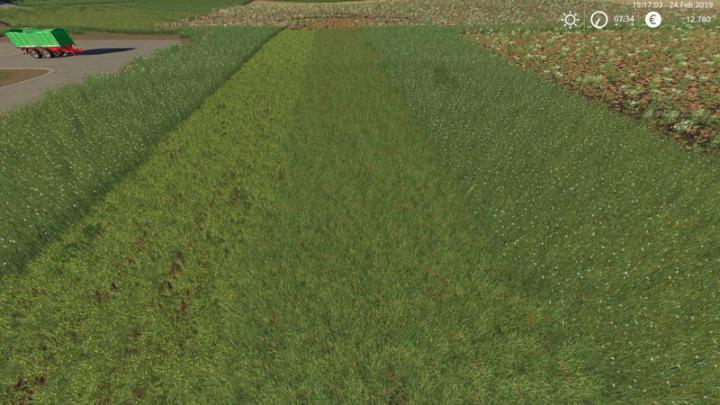 FS19 - Grass Texture V1