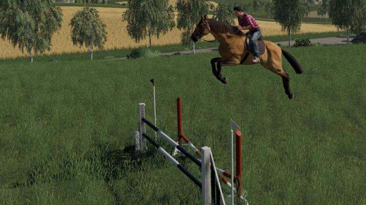 FS19 - Obstacles Horse Sport V1