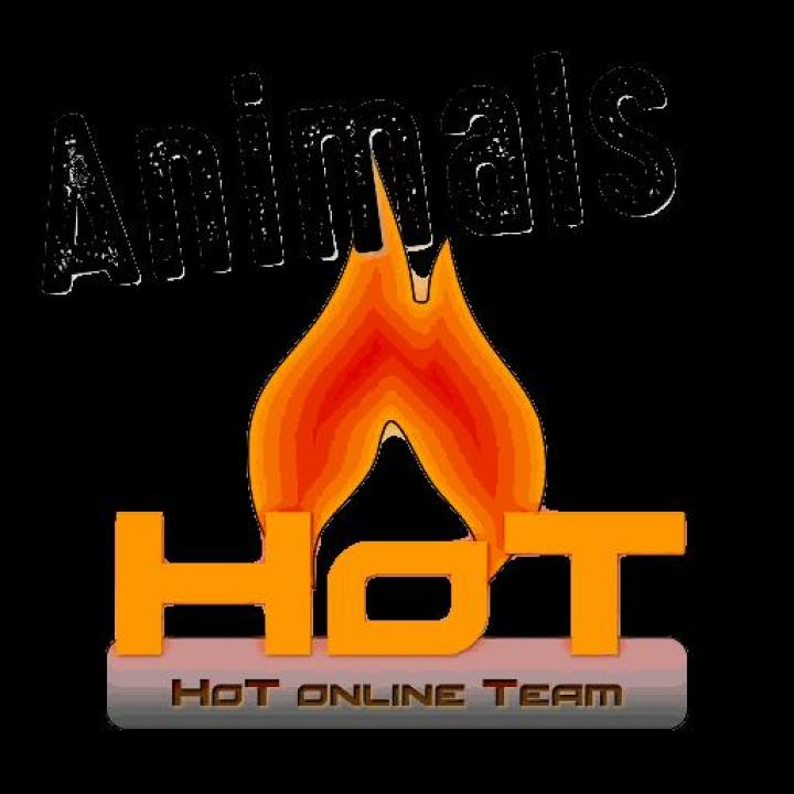 FS19 - Hot Animals V1.1