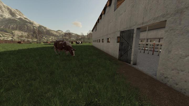 FS19 - Polish Cow Pasture V1