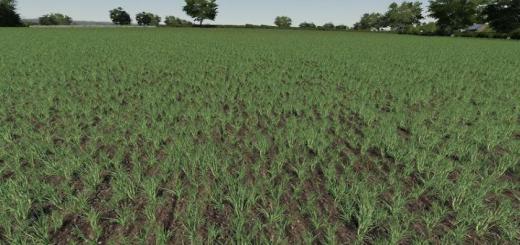 Photo of FS19 – Realistic Cereal And Canola Crop Densities V1