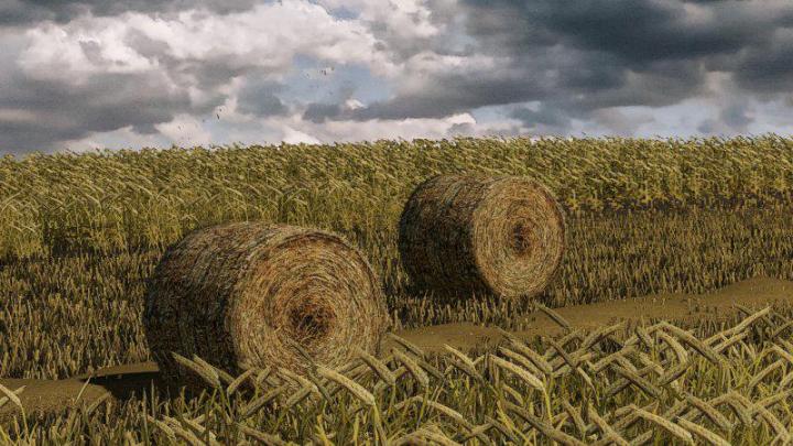 FS19 - Wheat – Barley – Windrow – Bales – Animations V1