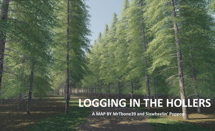 FS19 - Logging In The Hollers Map V1