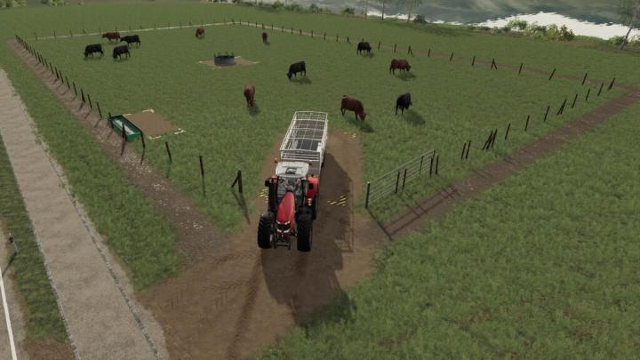 FS19 - Cattle Pasture V1