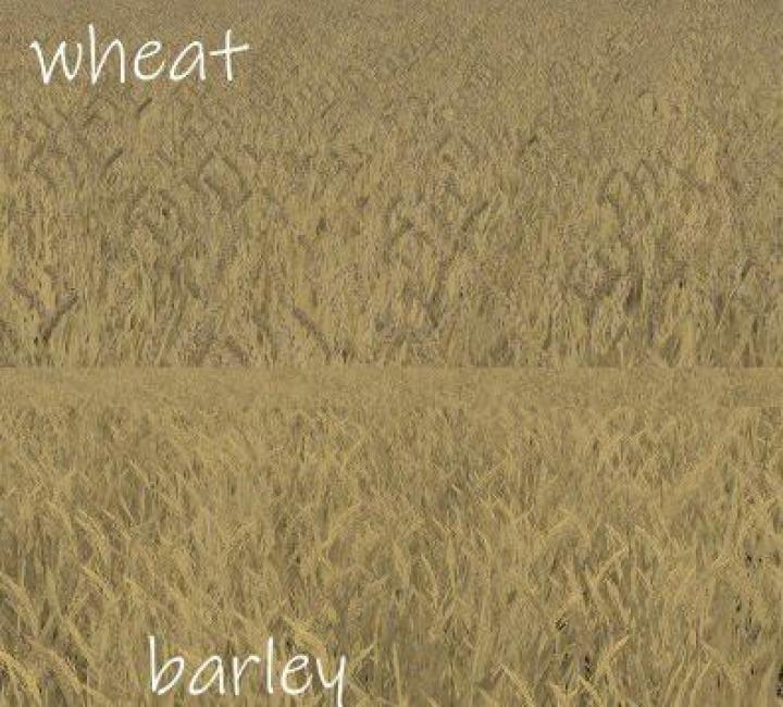 FS19 - Wheat - Barley Texture V1