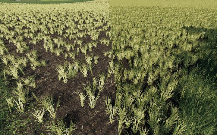 FS19 - Better Wheat Barley V1