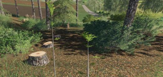 Photo of FS19 – Player Plant Trees V1