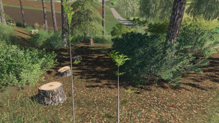 FS19 - Player Plant Trees V1