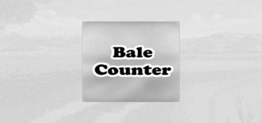 Photo of FS19 – Bale Counter V1.0.0.1