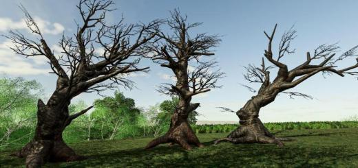 Photo of FS19 – Ancient Tree Pack V1