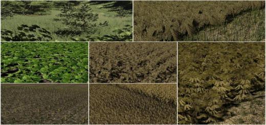 Photo of FS19 – Textures Pack V1