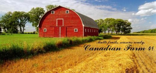 Photo of FS19 – Autodrive Courses For Canadian Farm Map 4F V1