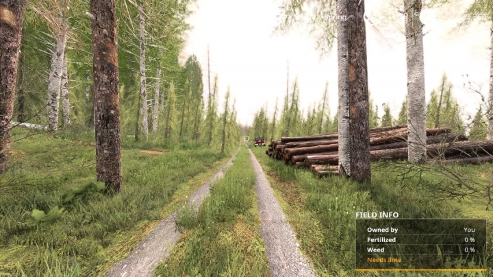 FS19 - Forest Machine Map V1