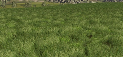 Photo of FS19 – Grass Texture V1.0