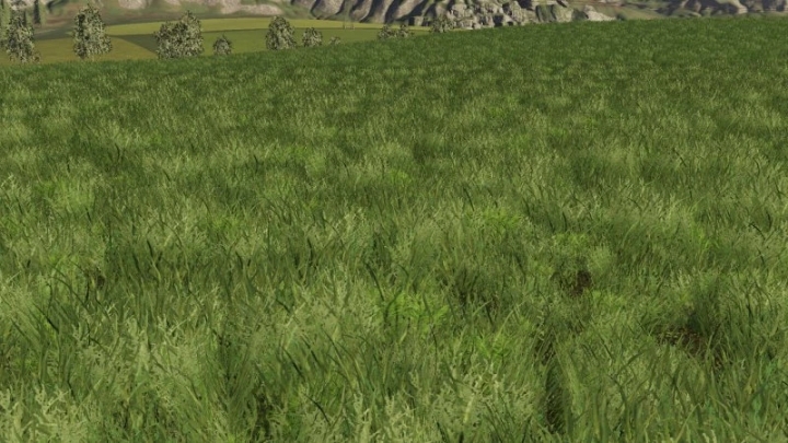 FS19 - Grass Texture V1.0